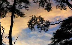 高清电脑桌面背景壁纸
