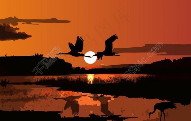 丹顶鹤剪影图片