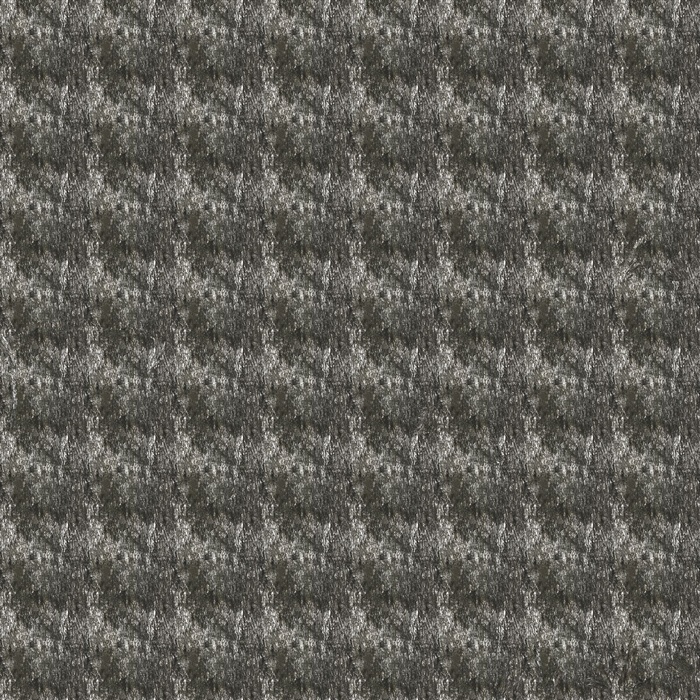 plant 048 冬季落叶树木 ...