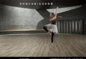 菲林格尔图片