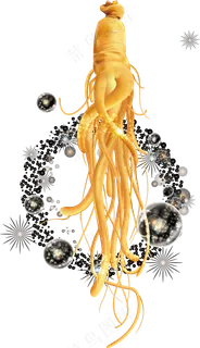 中国风人参补品海报展架透明元素