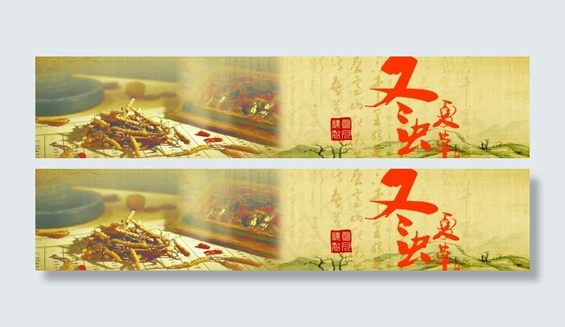 冬虫夏草图片(5949X1559(DPI:131))psd模版下载