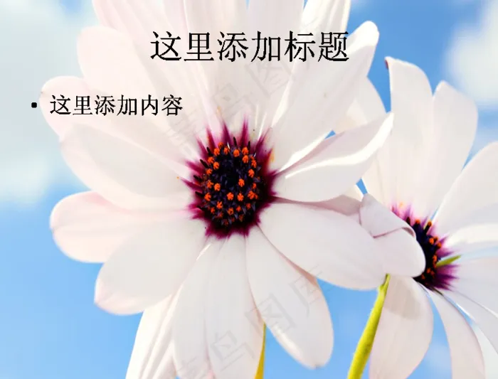 成双成对的花儿惹人怜唯美花朵pp...