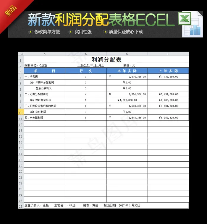 新款企业公司利润分配表Ecel