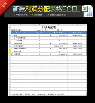 新款企业公司利润分配表Ecel
