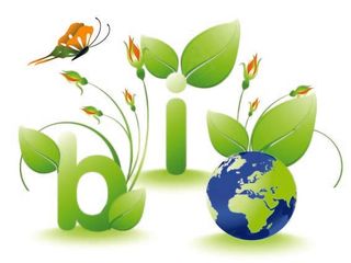 图标绿色环保部21免费下载