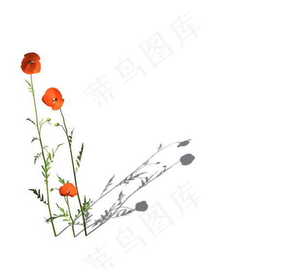小型花卉植物3D模型免费下载，带材...