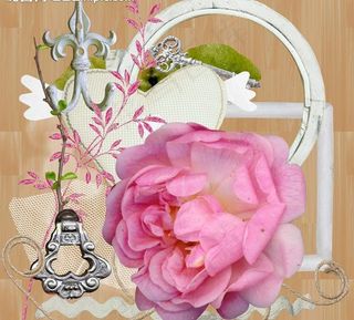 精美的素材图片