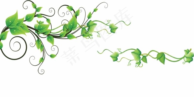 花草藤蔓素材