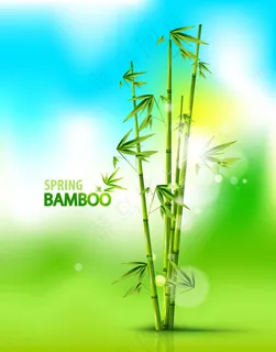 翠竹竹子梦幻背景矢量素材