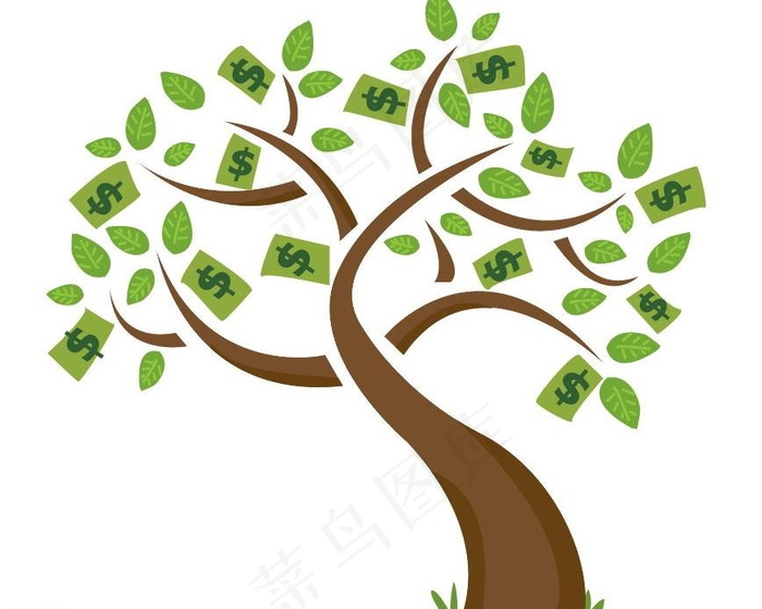 金钱树图片