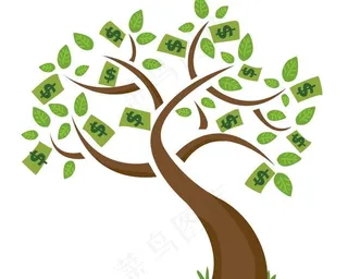 金钱树图片