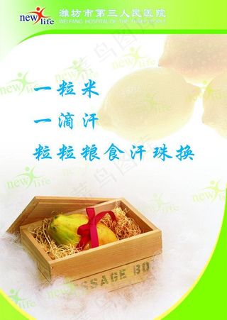 节约粮食看板图片