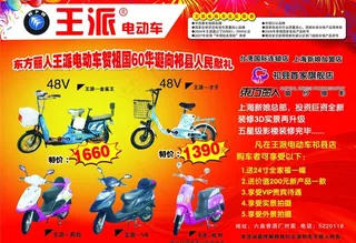 王派电动车图片