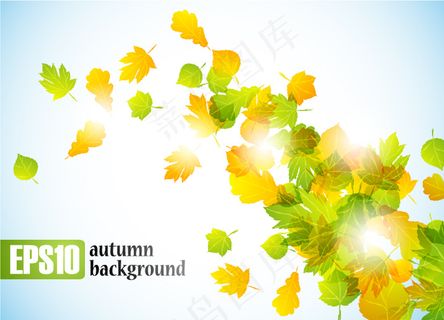 秋天的树叶矢量免费下载