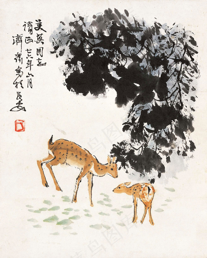 双鹿图片