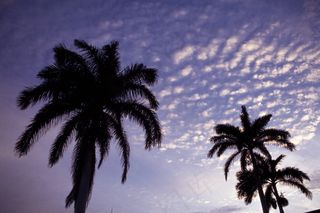 加勒比海风光-----海滩系列九图...