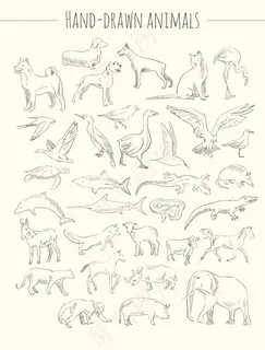 各类手绘动物矢量全集