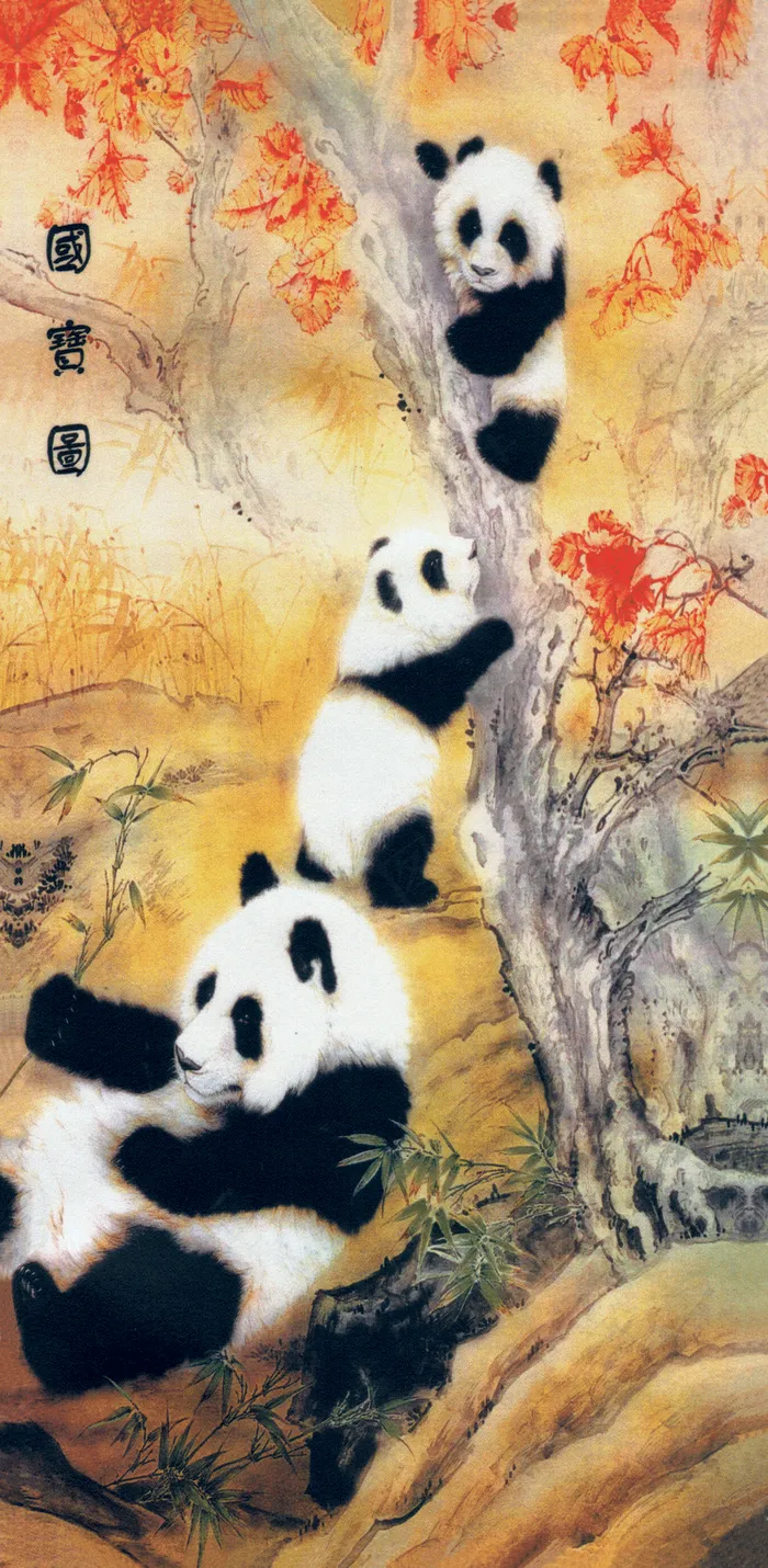熊猫图片