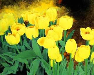 高清国画素材工笔花鸟郁金香