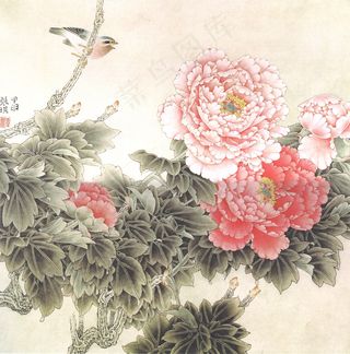 国画牡丹斗艳花鸟
