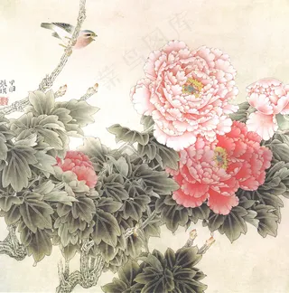 国画牡丹斗艳花鸟