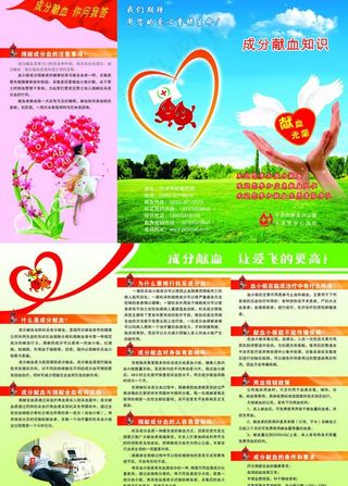 成分献血三折页图片