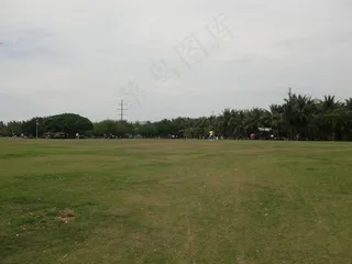 海口万绿园风景图片
