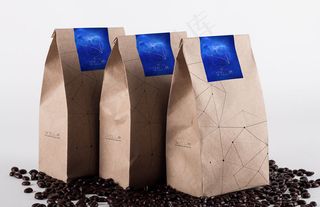 纸袋包装样机