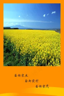 面向农业 面向农村 面向农民 企业...