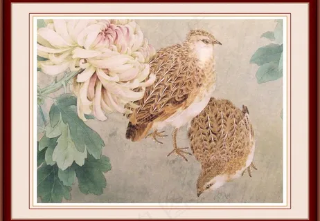 雏鹰工笔画图片 雏鹰工笔画图片