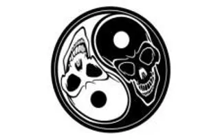 阴阳的头骨向量