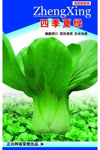 菜种包装设计图片
