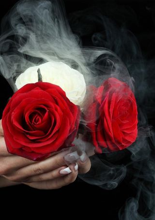 指甲美容 玫瑰花 动感烟雾图片