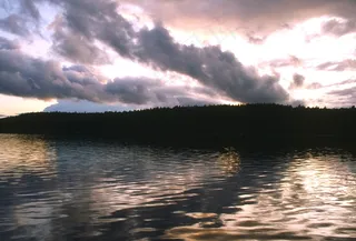 3D汽车模型免费下载