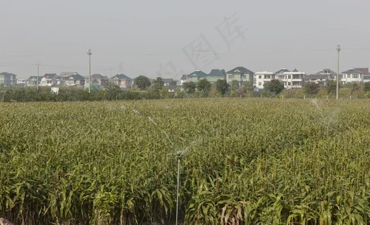 农业 喷滴灌图片 农业 喷滴灌图片