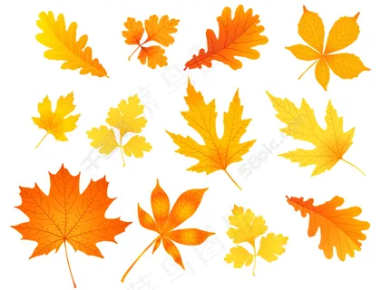 树叶背景矢量素材 树叶背景矢量素材
