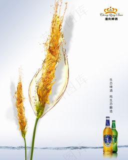 麦穗啤酒广告