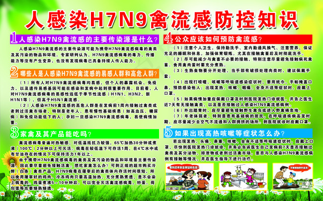 人感染H7N9禽流感防控知识(3912X2438(DPI:72))psd模版下载