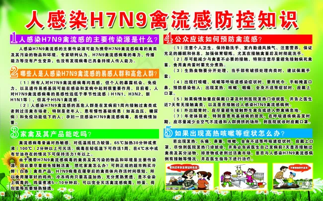人感染H7N9禽流感防控知识(3912X2438(DPI:72))psd模版下载