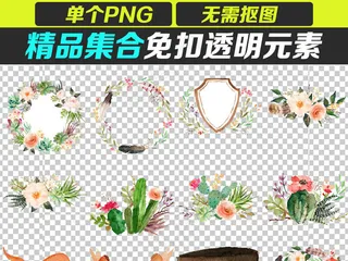 手绘花鸟PNG设计素材