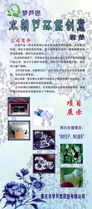 水葫芦环保创意鞋垫展板80X180cm展架画面