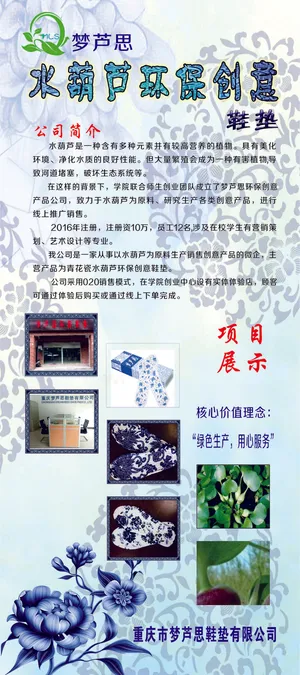 水葫芦环保创意鞋垫展板80X180cm展架画面