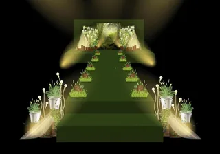 小清新森系舞台婚礼设计