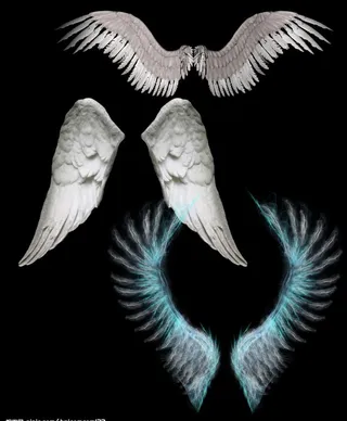 超赞的天使翅膀大全图片