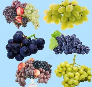 葡萄图片