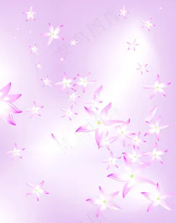 海星花粉色浪漫 海星花粉色浪漫