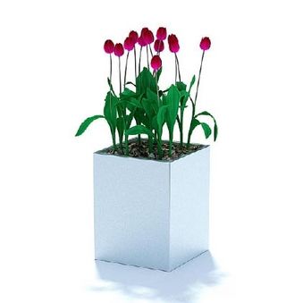 植物国外精品素材装饰素材免费下载植...