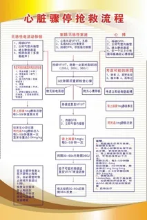 医院科室制度28