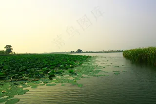 北京野鸭湖湿地公园图片